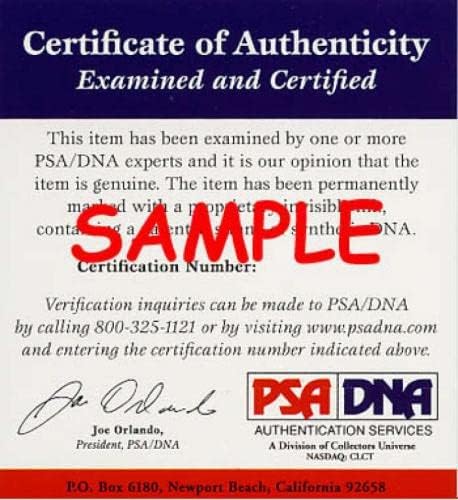 Stan Musial PSA DNA Подписа Винтажную Произведение За снимки 8x10 С Автограф от Кардиналите - Снимки на MLB