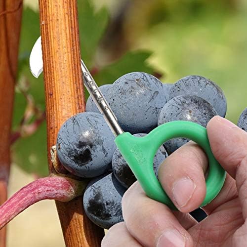 YARNOW Barking Tools 6 бр. Инструменти за почистване на грозде от кората на Храста: Нож за косене Личи с тънък кант, Пистови Ножица за присаждане Зеленина, Градински Почистван