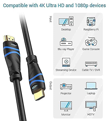 Кабел BlueRigger 4K, HDMI Кабел RJ45 CAT 7 Ethernet (100 фута, черен, 4K 30 Hz, вграден CL3, 10 Gbit/s, 1000