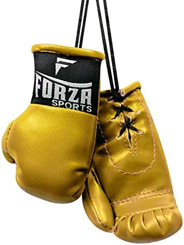 Спортни Мини-Боксови Ръкавици Forza