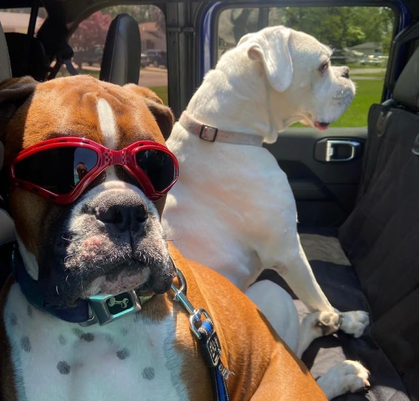 PETLESO Очила за по-големи Кучета, Защитни Очила за домашни любимци, Слънчеви Очила за кучета от Средни по Размер