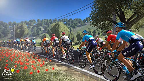 Тур Дьо Франс: Сезон 2019 - PlayStation 4 (PS4)