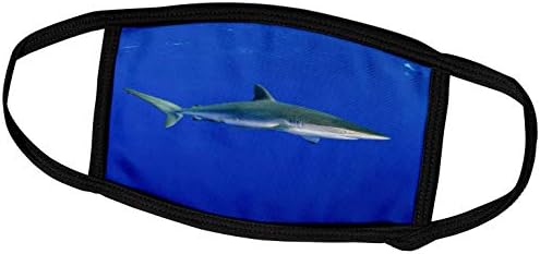 3дрозная Копринена акула, Carcharhinus falciformis, Кралските градини NP. - Маска за лице (fc_209937_2)