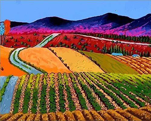 Зашеметяващ поле Лятна долина, Ръчно Рисувани, Платно за бродиране B0057 (14-Каратный Mono Deluxe, 20 X 24)