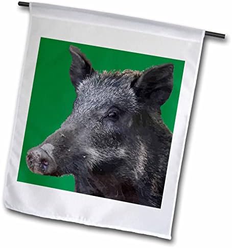 3dRose Taiche - на Кръста изкуство - дива Свиня - на Кръста Зодиакален животно с Див Кабаном - Знамена (fl_356229_2)